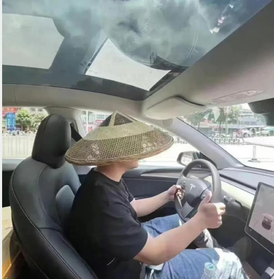 特斯拉車主因購入全景天窗車型，導致車內高溫不斷。 圖：擷取自石明謹臉書