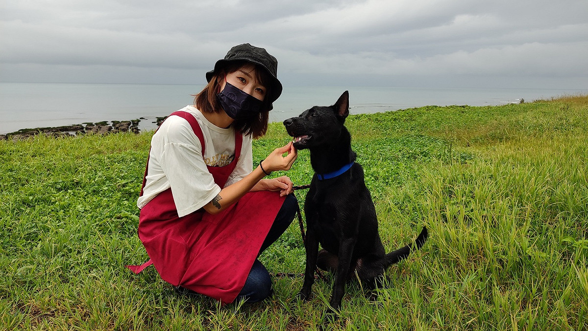 對於熱愛動物的人來說，學習動物護理工作讓毛寶貝健康活潑是比什麼都更令人愉快的成就感。 圖：新北市動保處提供