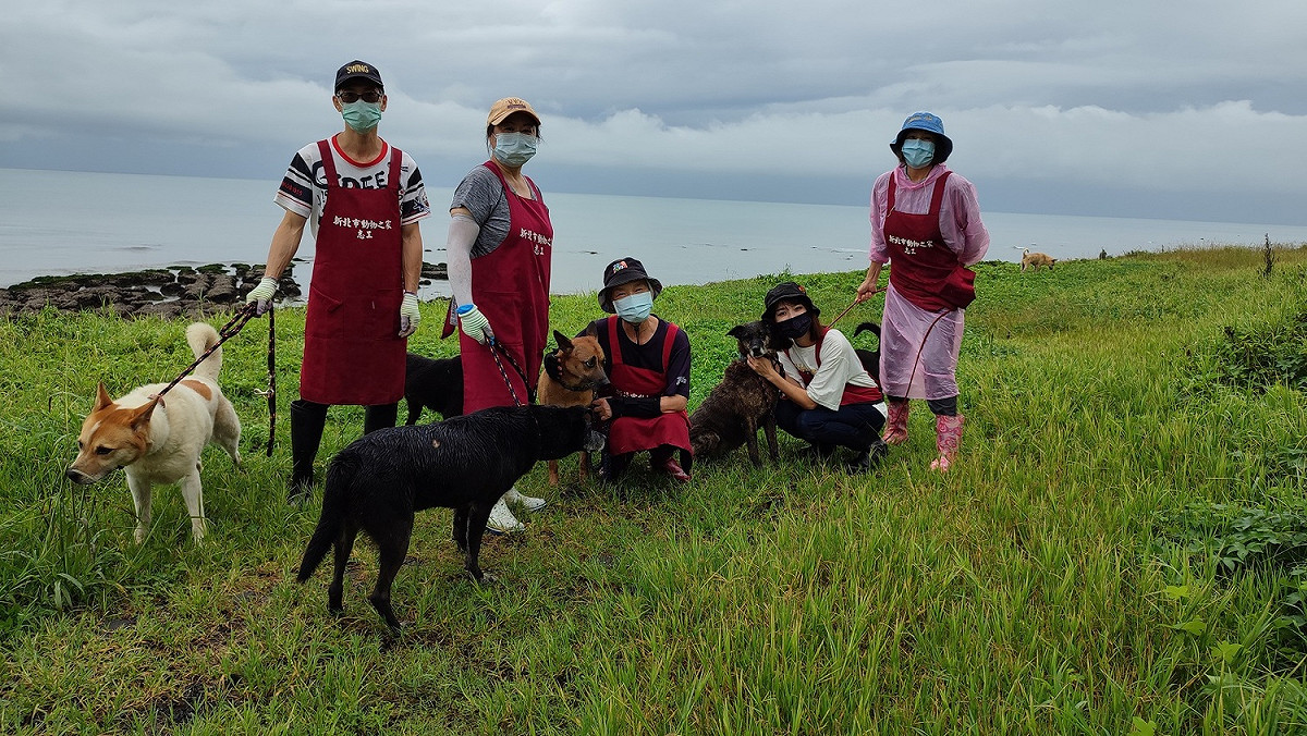 投入志工服務零距離接觸毛寶貝，還能結交一群來自國內外志同道合愛心好夥伴。 圖：新北市動保處提供