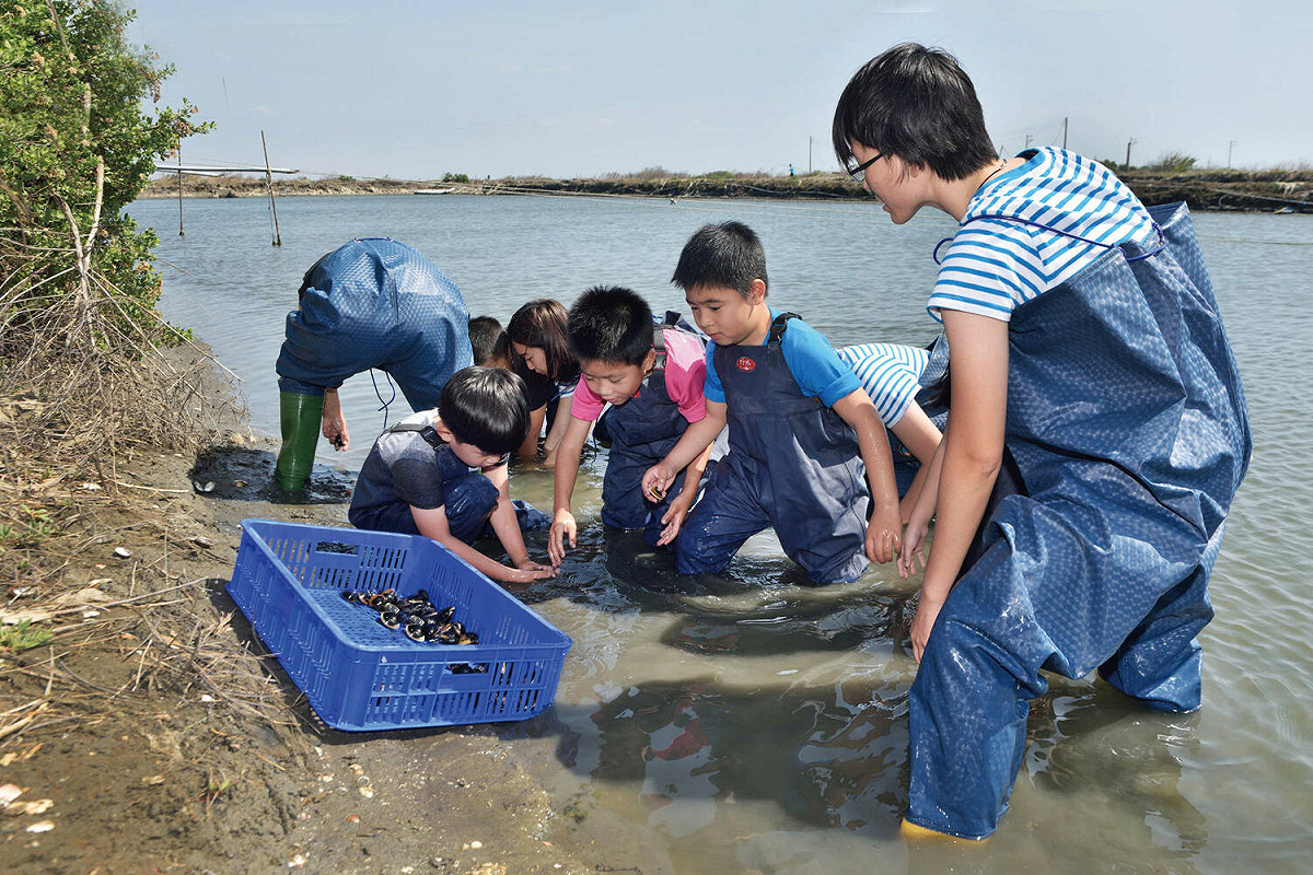 「股份魚鄉」利用五感開發進行體驗文蛤養殖。