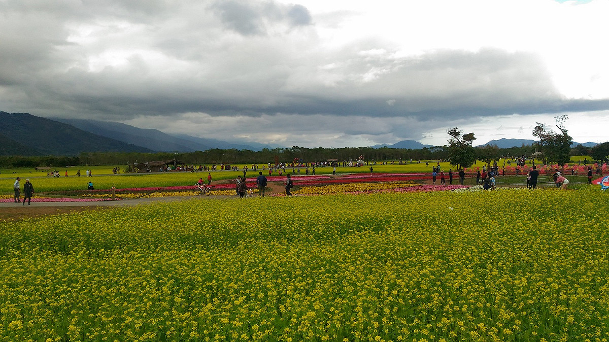 大農大富平地森林園區核心草地區域開放寵物入園。
