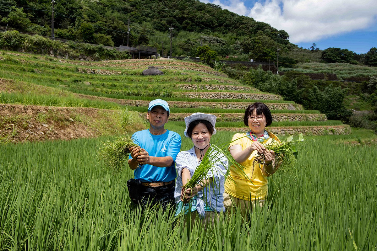 嵩山百年梯田農事體驗。