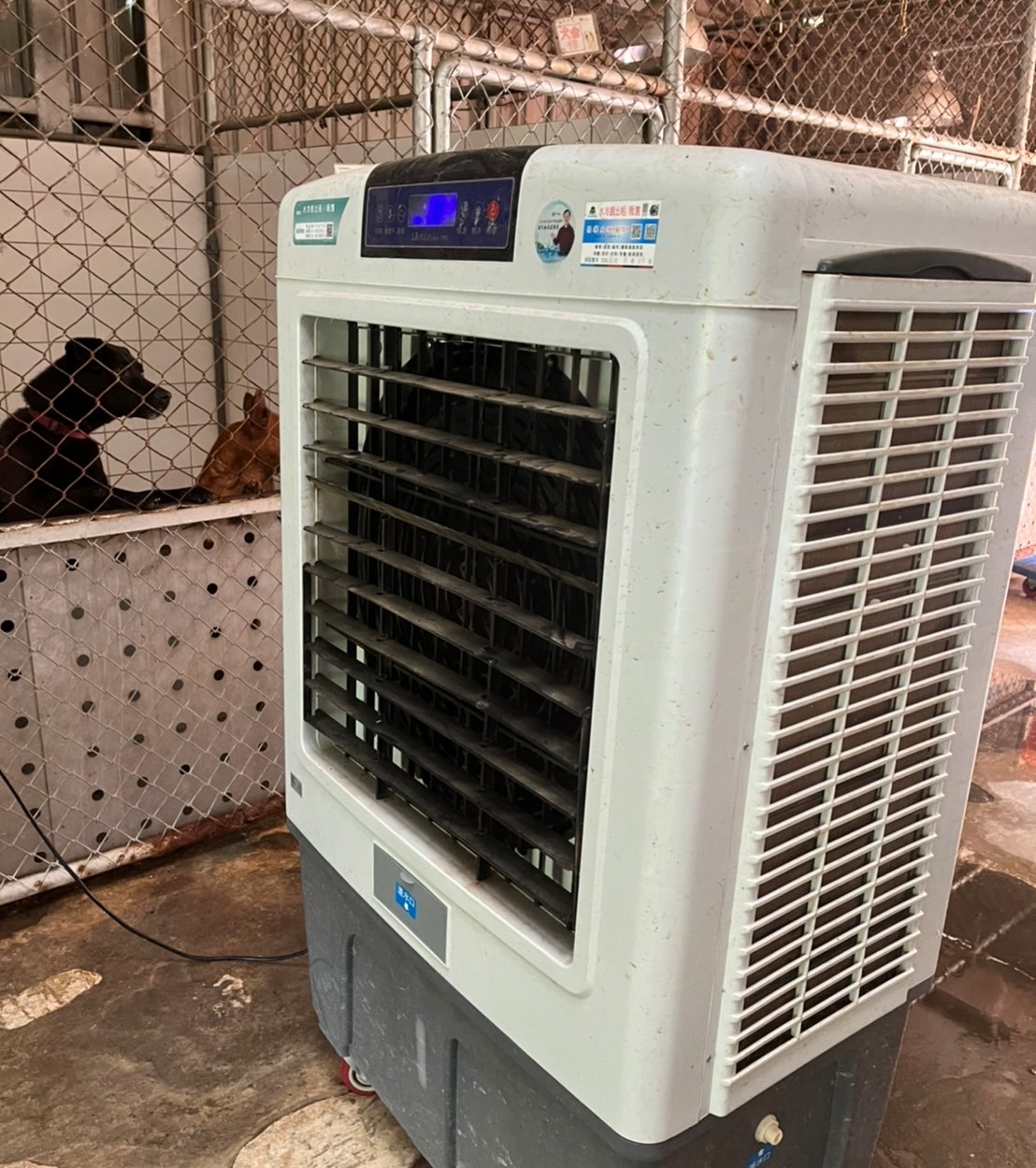 動物之家購置大型冷風扇，加強空氣流動減少悶熱。 圖：新北市動保處提供