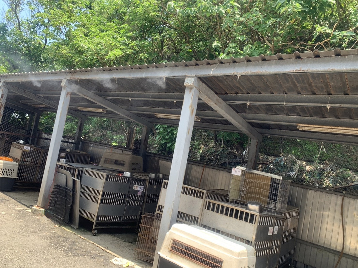動物之家裝設水霧系統，降低環境溫度。 圖：新北市動保處提供
