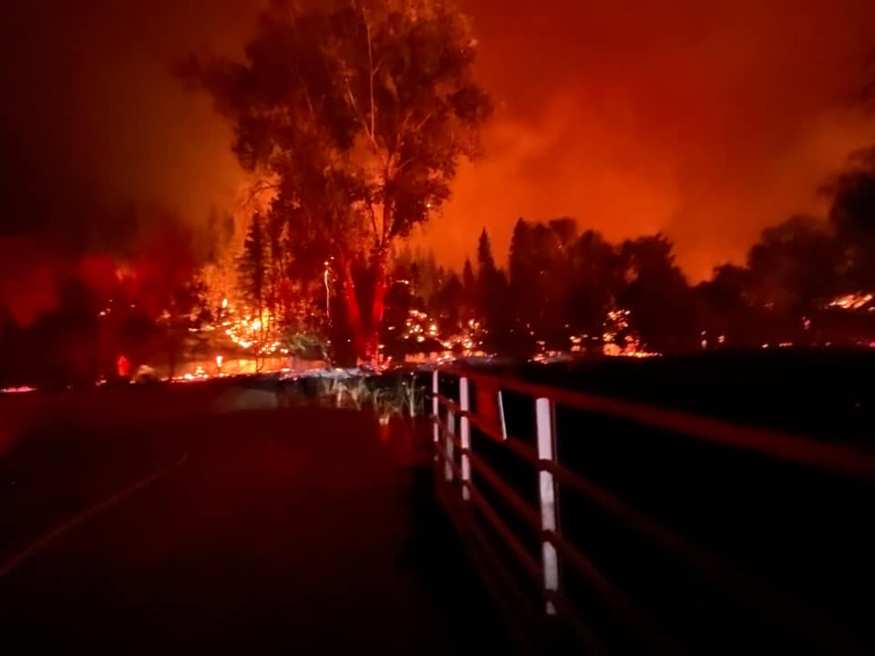 麥金尼（McKinney）野火29日起於加州核俄勒岡州邊界的錫斯基尤縣（Siskiyou）肆虐，人們目睹野生動物紛紛逃竄避難，當局並強制撤離周圍100多戶民宅。 圖：擷自推特