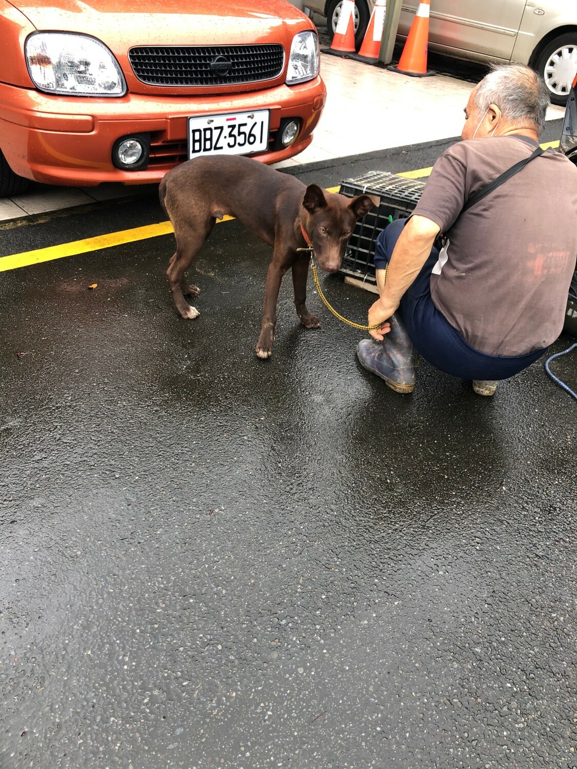 邱秀雄協調，由民眾將犬隻帶去新店動物之家進行結紮。 圖：新北市動保處提供
