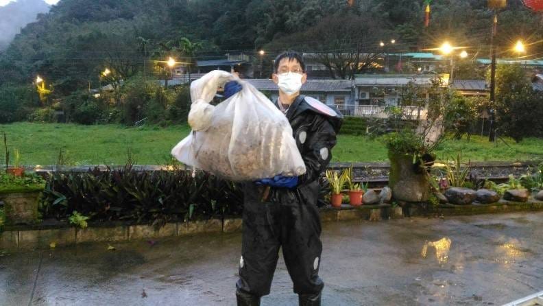 駐區獸醫王嚴緖穿著新式達人捕蜂裝摘除蜂窩。 圖：新北市動保處提供