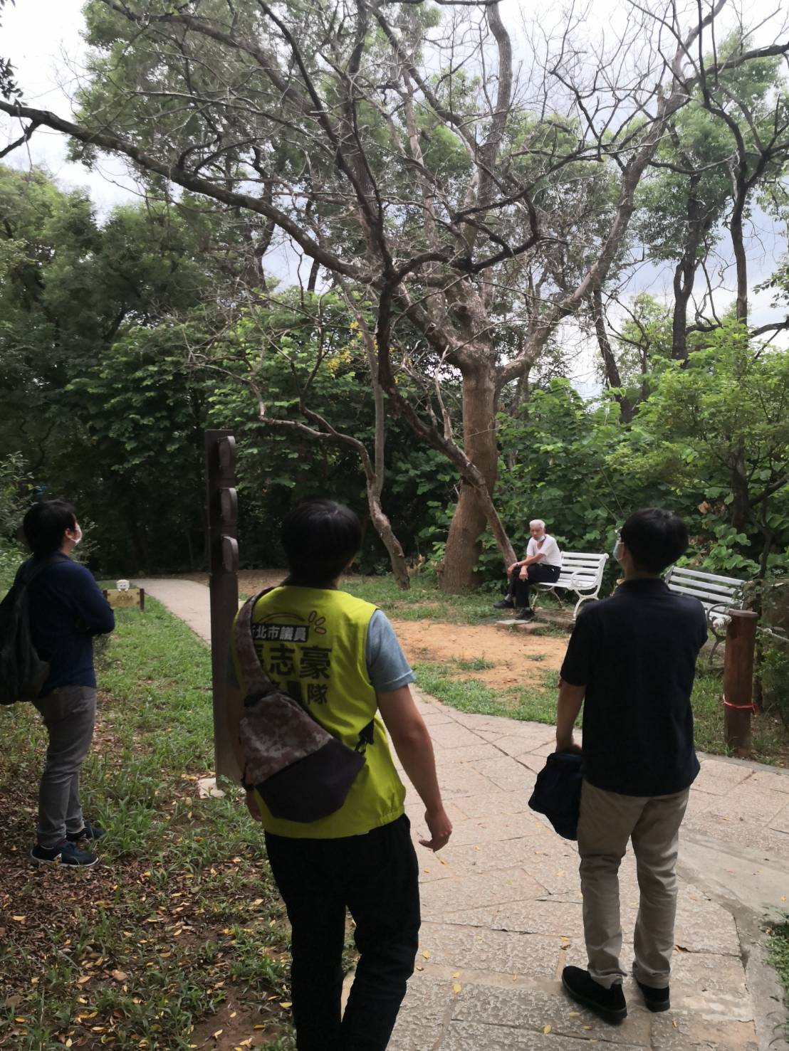 中和自強公園山上的老樹接連發生白蟻入侵蛀蝕，有多起枯枝砸傷長輩的案件，市議員張志豪邀相關單位會勘。 圖：張志豪服務處提供