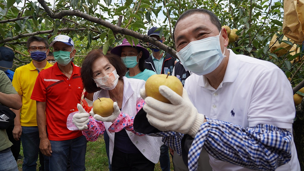 宜蘭縣長林姿妙攜新北市長侯友宜（右），體驗親手摘採三星上將水梨的樂趣。 圖：新北市經發局提供
