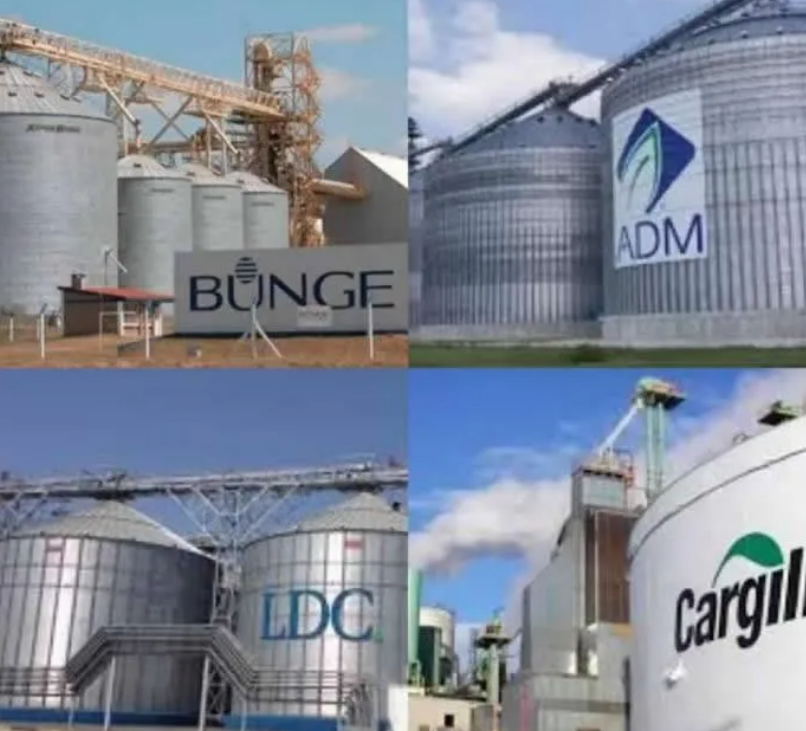 美國阿徹丹尼爾斯米德蘭 ( ADM )、邦吉 ( Bunge )、嘉吉 ( Cargill ) 和法國路易達孚 ( LouisDreyfus )四大糧倉。 圖:　翻攝自中國《導油網》