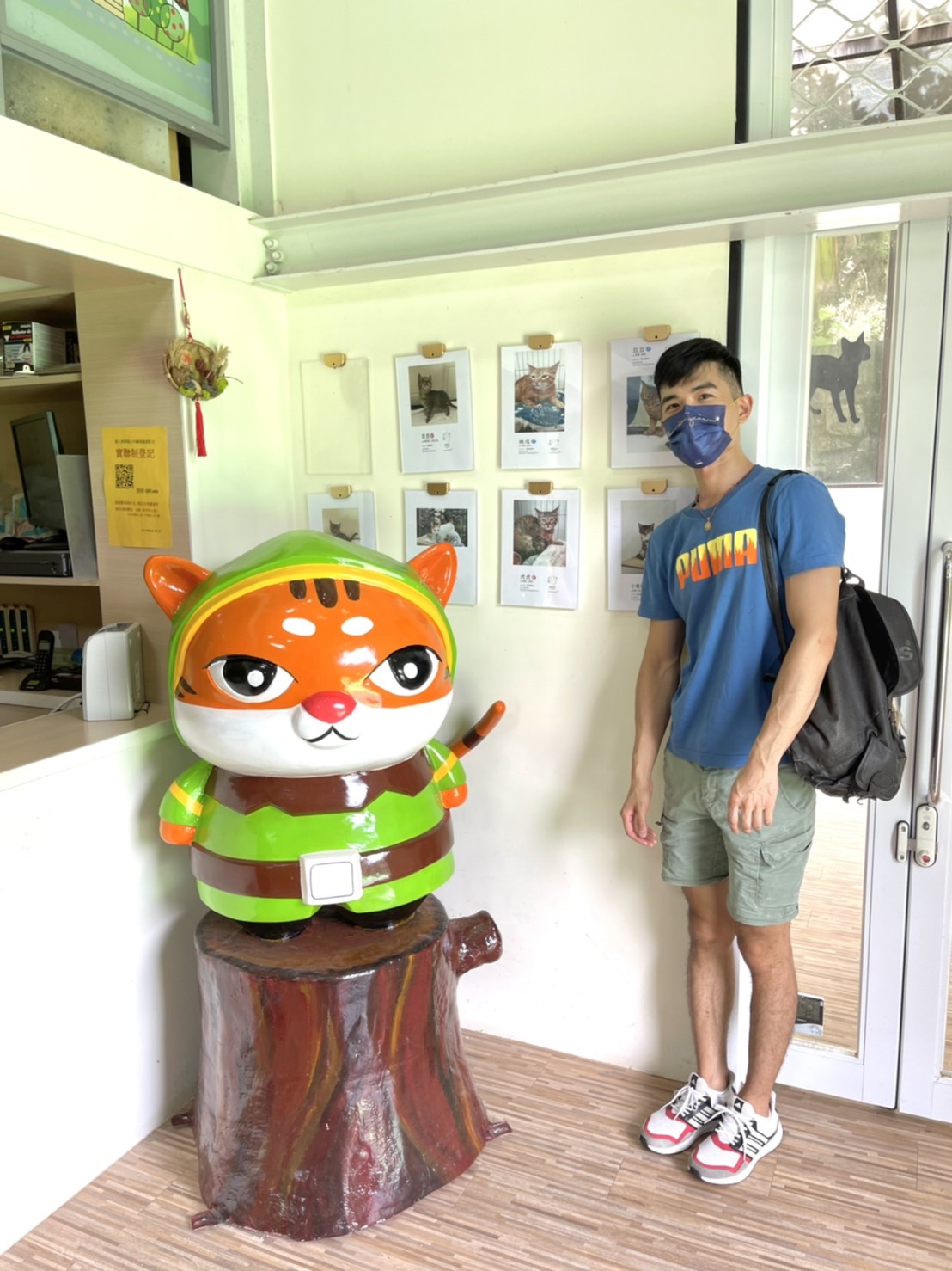 貓村認養小棧內有許多貓隻正在尋找終生貓爸媽。 圖：新北市動保處提供