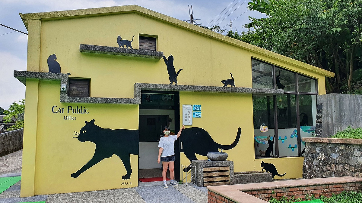 瑞芳區的猴硐貓村，民眾可以前往拍照打卡。 圖：新北市動保處提供