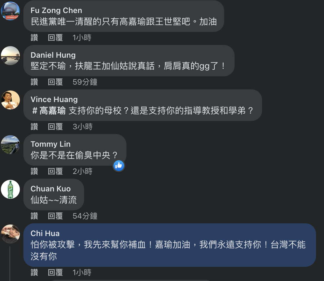 網友稱，民進黨唯一清醒的只有立委高嘉瑜跟議員王世堅。 圖：擷取自高嘉瑜臉書