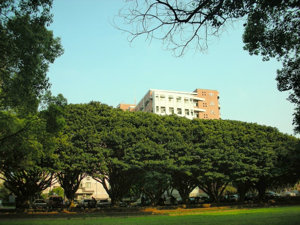 中原大學22日發表聲明，中原大學以「基督教信仰」立校，不認同同性婚姻，反對修改現行法令對婚姻的相關規定。  圖：翻攝自維基百科