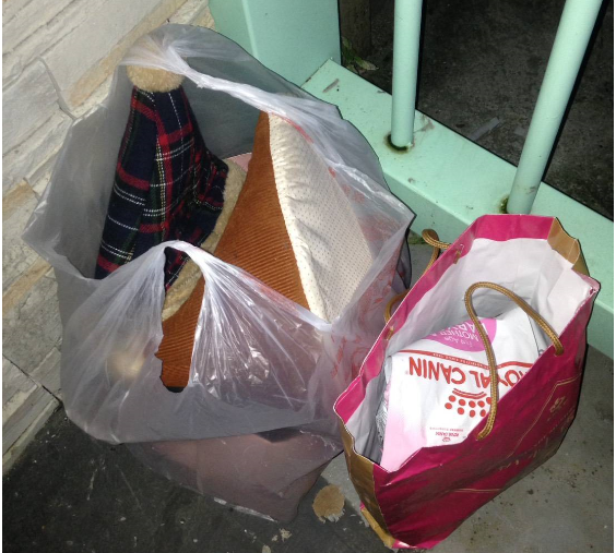 兩只紙袋裝著貓跟寵物用品被丟棄至收容中心門口前面。 圖：新北市動保處提供