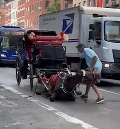 車夫不停地命令馬匹快點站起來，並不斷抽打馬匹。 圖：翻攝自環球網