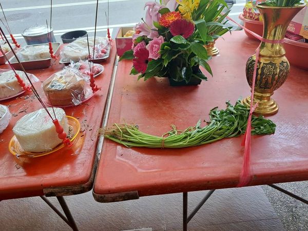 空心菜具有「有心拜你，沒心留你」的含意。 圖：廖大乙/提供