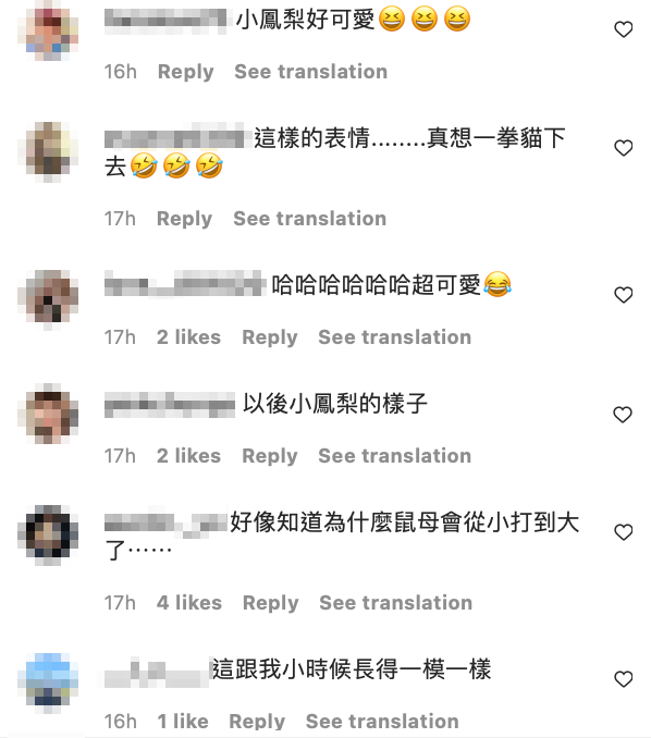 網友表示「小鳳梨」看起來相當欠扁。