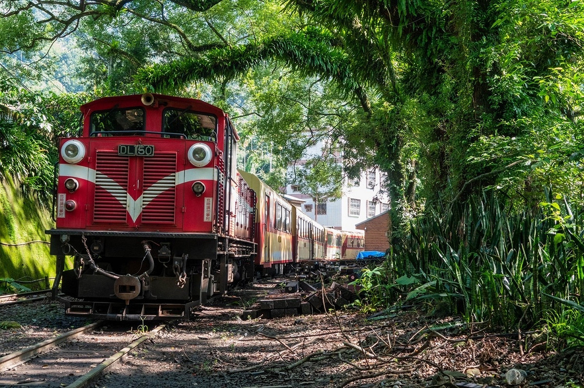 火車停靠樟腦寮車站待避時的景緻。