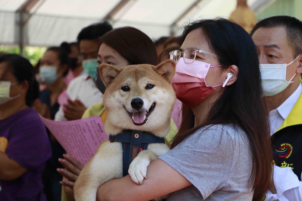 現場有飼主帶著家中狗狗一起前來祈福祝禱。 圖：新北市動保處提供