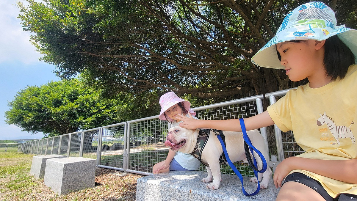 護網保護。 圖：新北市水利局提供