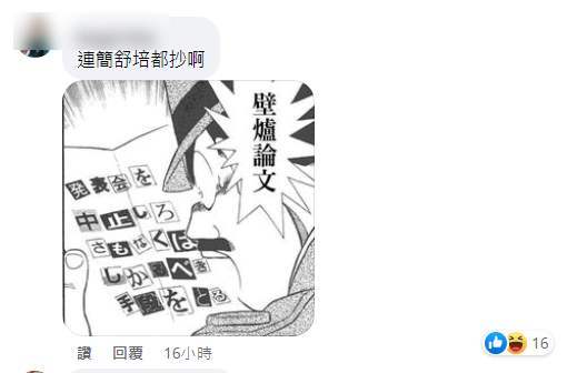 網友留言。 圖：取自蔡壁如臉書