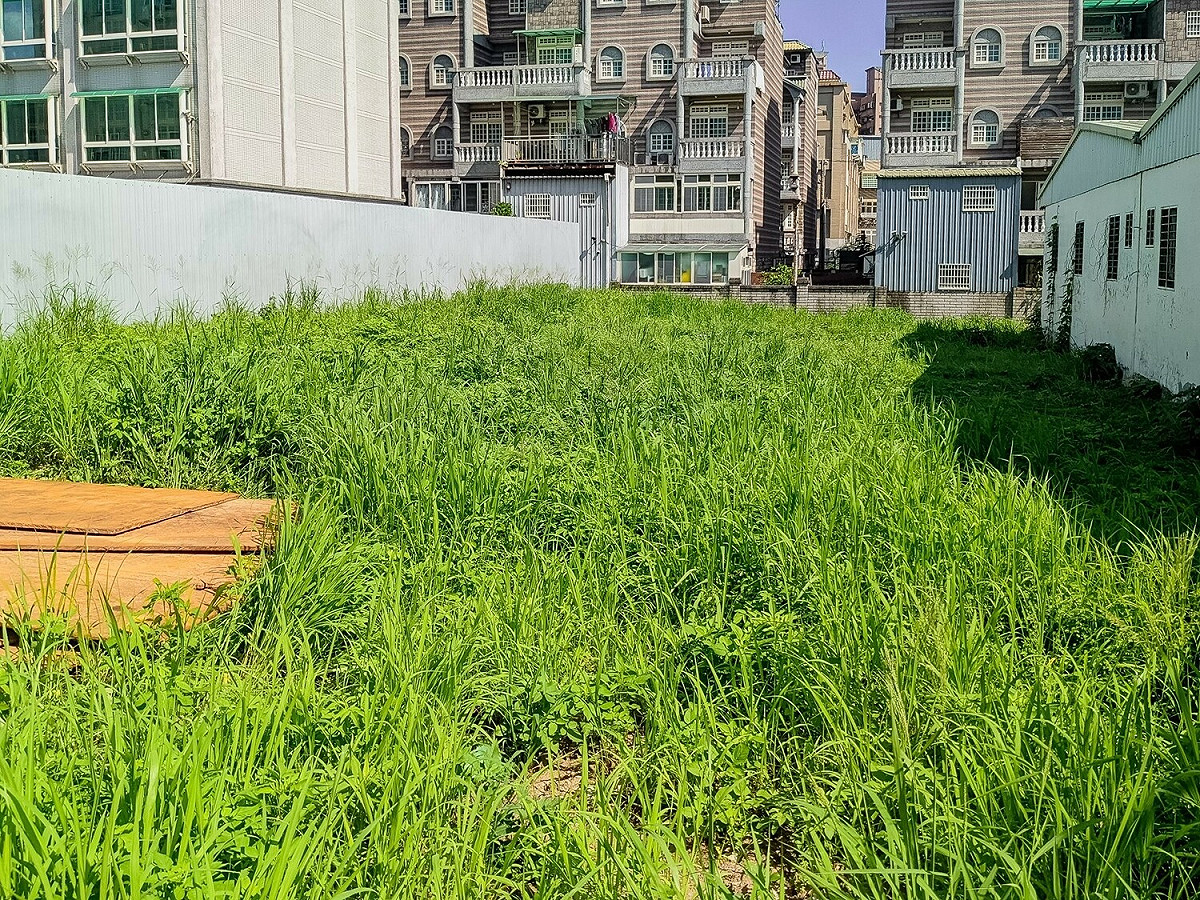 現地整理之前荒煙漫草且土地高低不平。