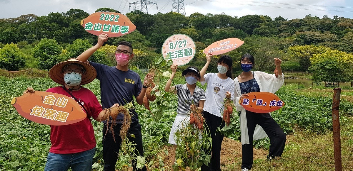 8月27日金山甘藷季主活動千萬別錯過。
