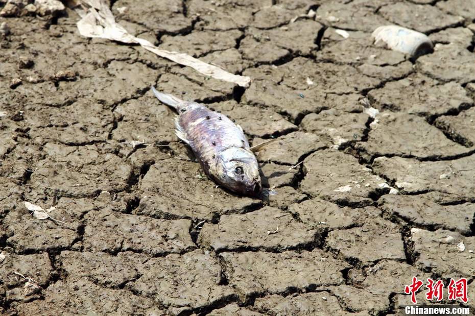中國近期出現連日高溫，多地出現乾旱情形。（示意圖）