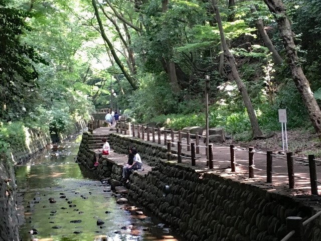 春櫻、夏綠、秋楓、冬雪，等等力溪谷周邊呈現四季不同樣貌。.