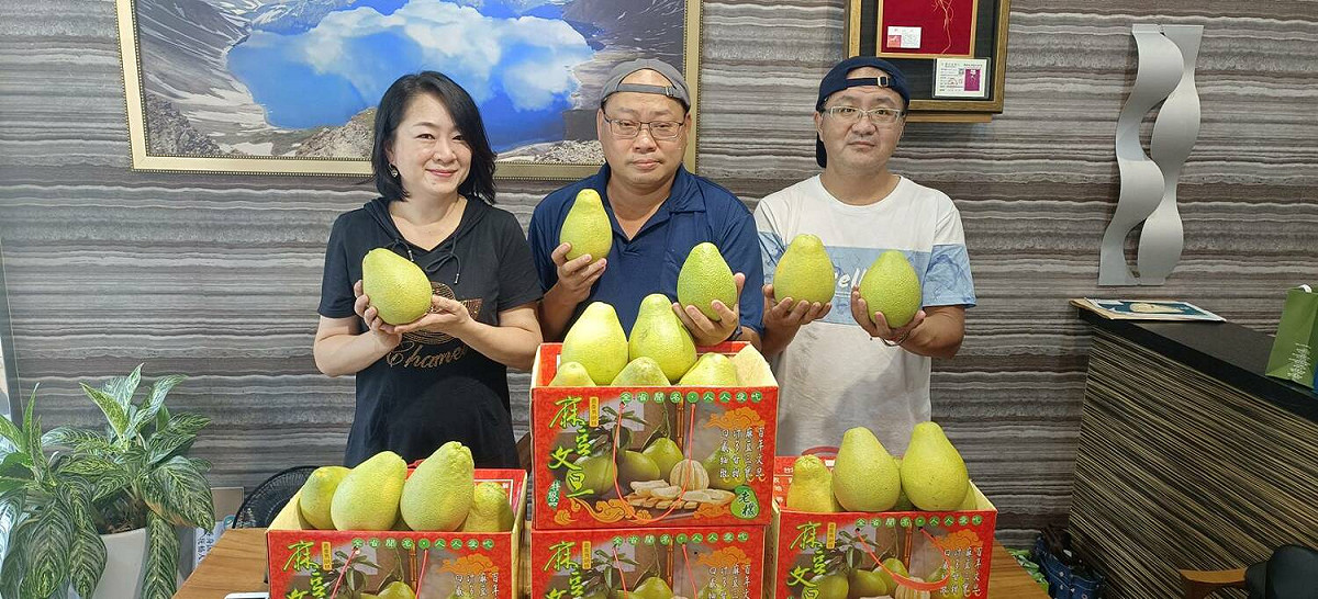 洪文芳、洪志明及陳宇馨(右至左) 聯手為文旦找出路。 圖：業者提供