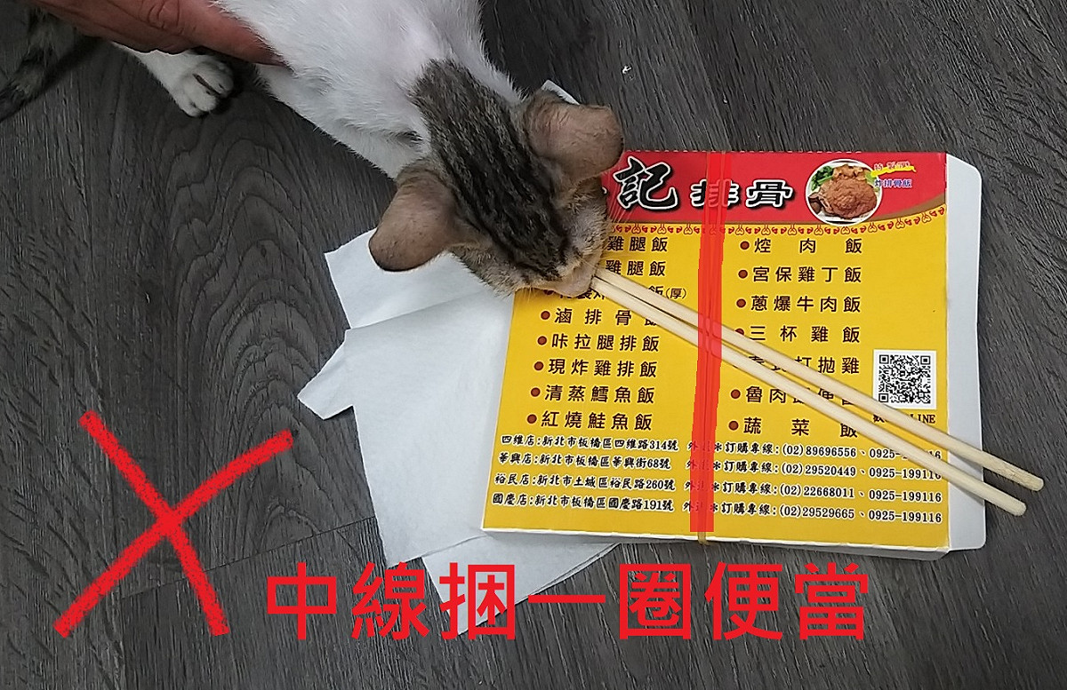 中線捆一圈便當。 圖：新北市動保處提供