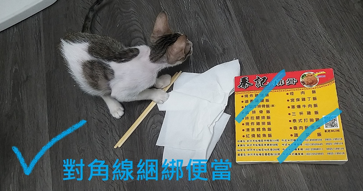 對角線綑綁便當。 圖：新北市動保處提供