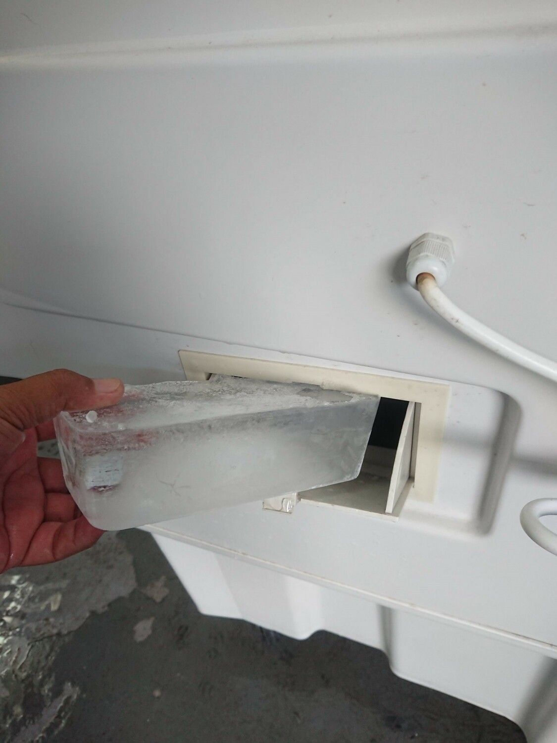 冰磚加入水冷扇。 圖：新北市動保處提供