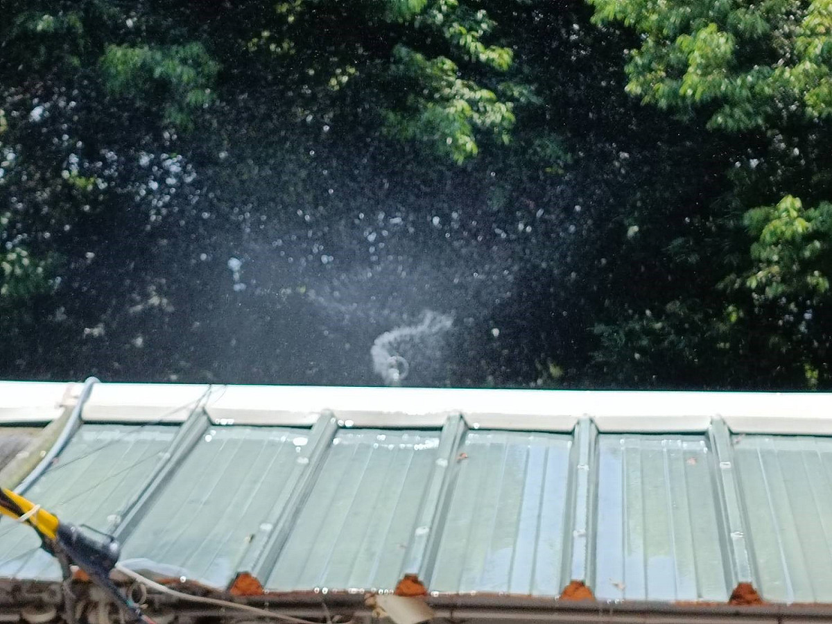 屋頂灑水降溫系統。 圖：新北市動保處提供