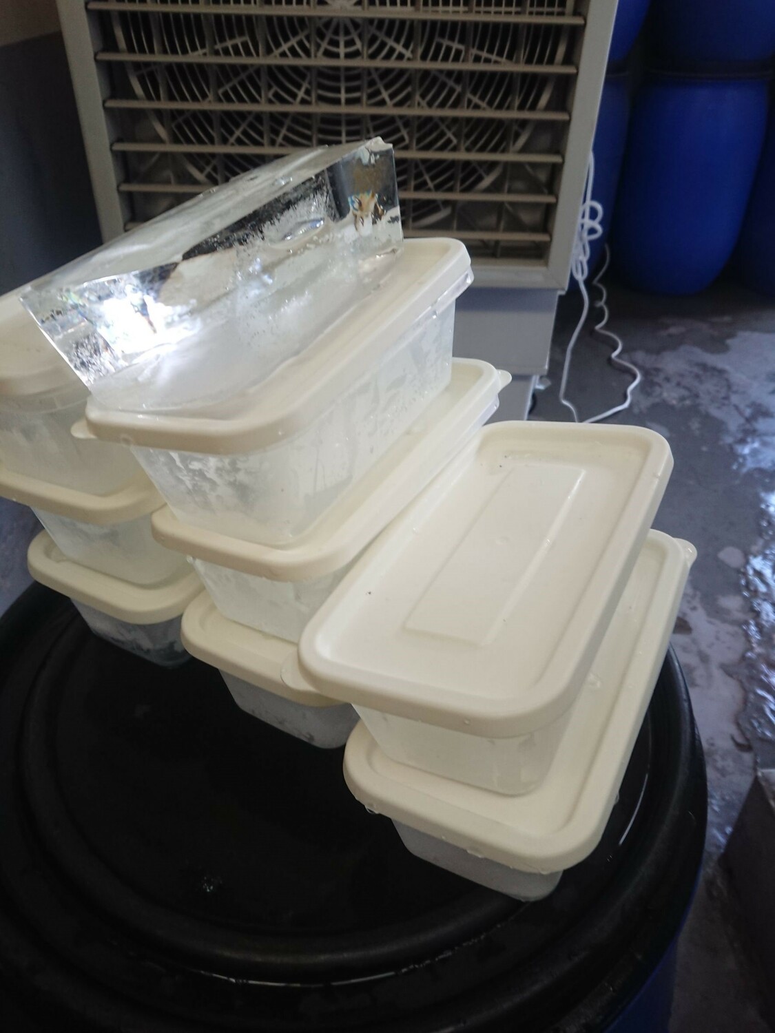 自製冰磚。 圖：新北市動保處提供