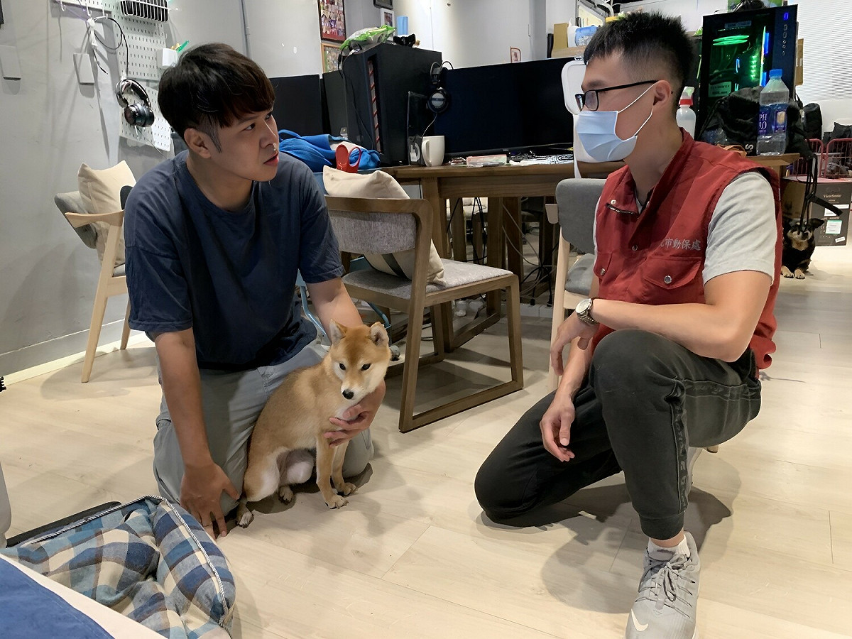 時刻影像工作室響應帶狗上班活動。 圖：新北市動保處提供