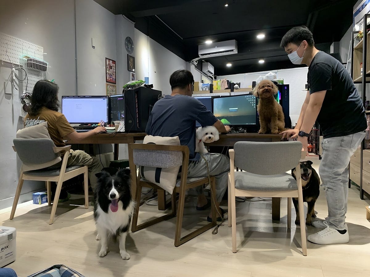 帶寵物上班可以保持好心情。 圖：新北市動保處提供