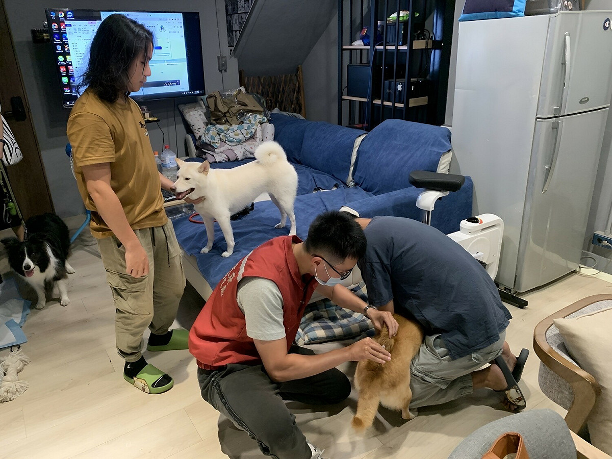 安排公務獸醫師免費到公司為毛寶貝施打一劑狂犬病預防針。 圖：新北市動保處提供