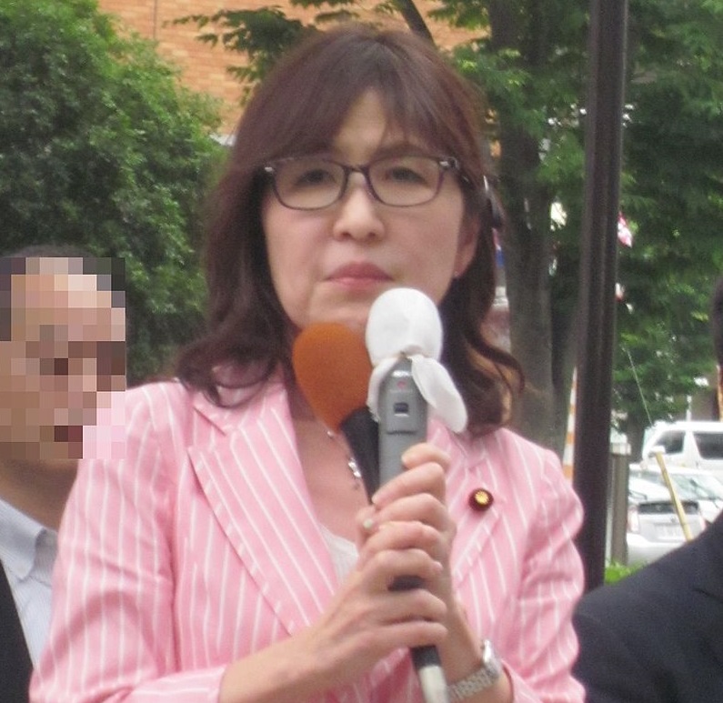 日本防衛相稻田朋美12日表示，為防止中國軍機侵犯領空而緊急升空的自衛隊戰鬥機的行動，不存在發射「干擾彈」並危害中方安全的事實。 圖：翻攝自維基百科