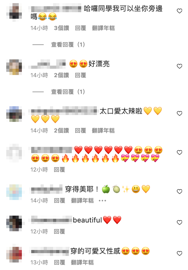 粉絲也紛紛在她的貼文底下稱讚。 圖：翻攝自林襄IG