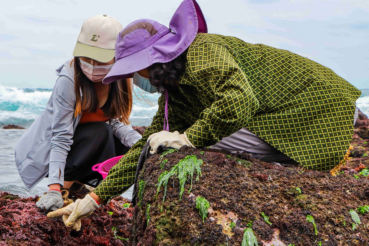 貢寮非常具特色的海女體驗，跟著海女阿嬤一起走訪海花園。 圖：新北市觀旅局提供