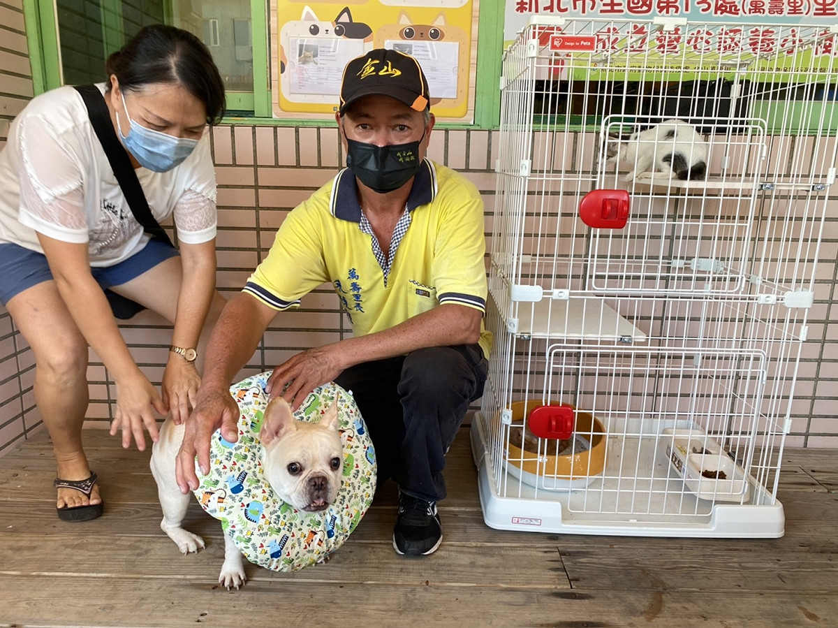 遊客在享受美食美景同時，也可到認養小棧看看。 圖：新北市動保處提供
