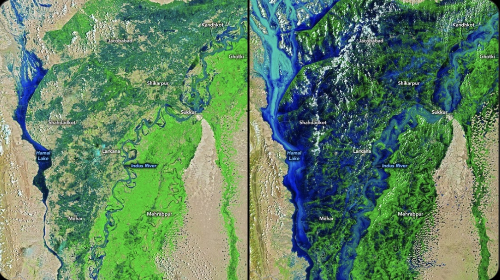 據NASA公布的最新的衛星圖像顯示，巴基斯坦信德省（Sindh）的部分地區遭洪水淹沒，儼然形成了寬達 100 公里的「內陸湖」。 圖 : 翻攝自NASA衛星照片