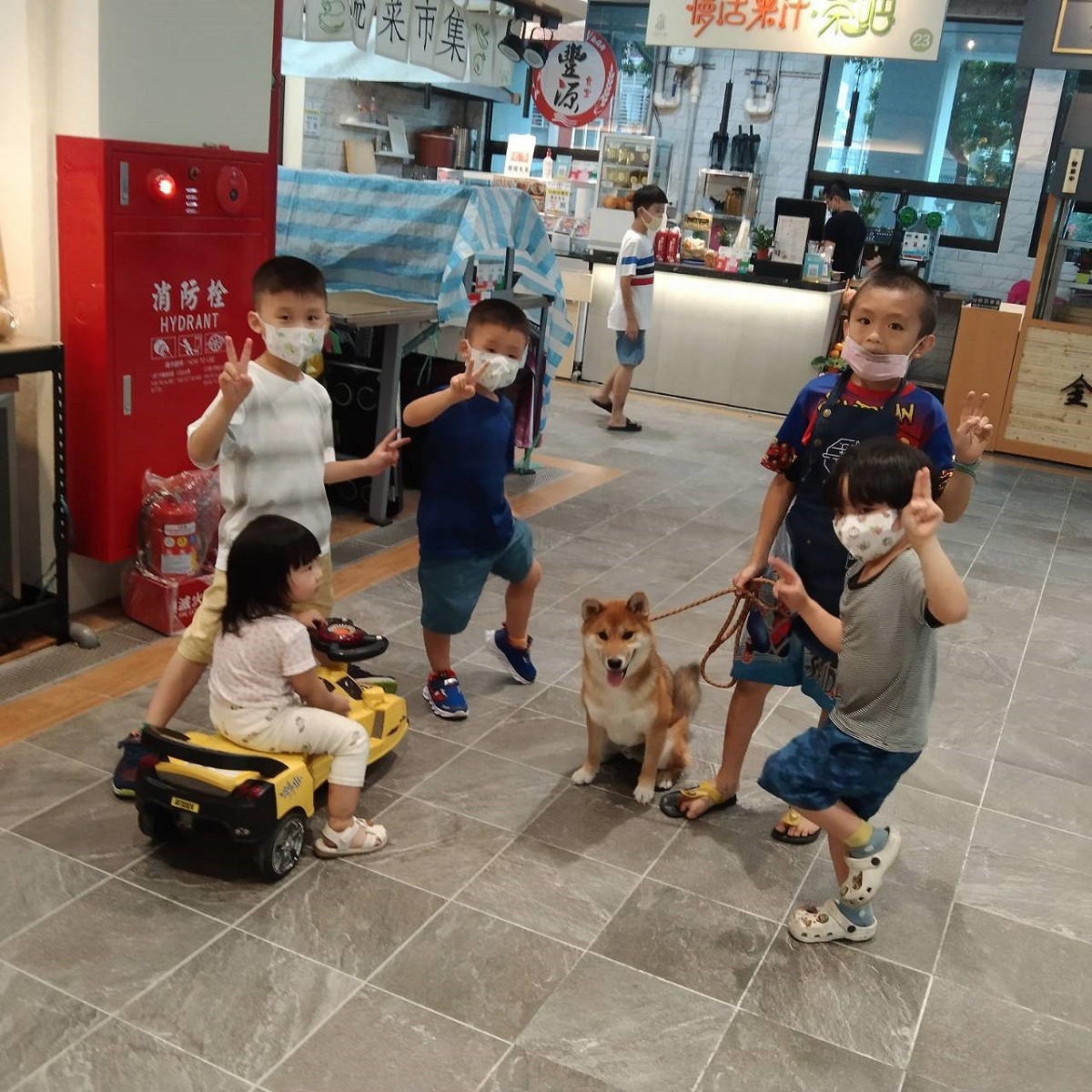 陪孩子散步。 圖：新北市動保處提供