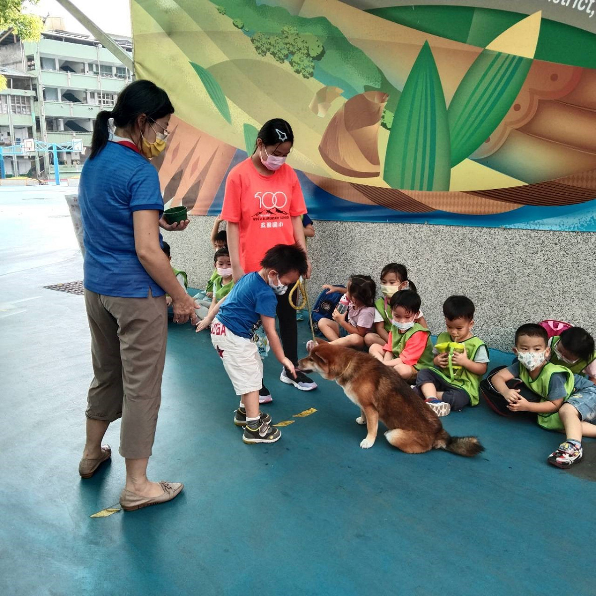 朝狗醫生之路邁進。 圖：新北市動保處提供