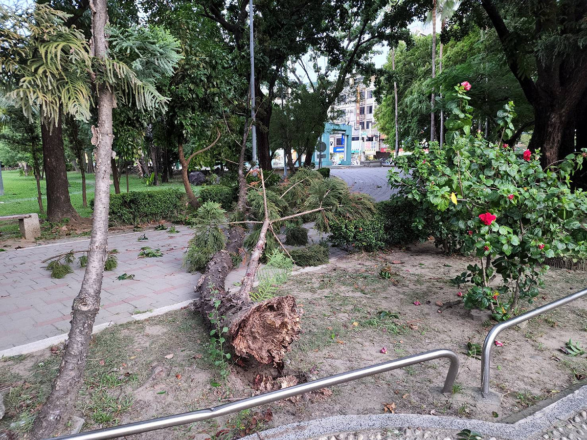台南市樹木累計通報有22株樹木倒伏、枝條斷裂等情形。 圖/台南市政府提供