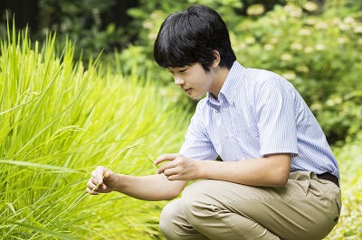 日本悠仁親王6日滿16歲生日，宮內廳發布他的近照，表示他在居住的赤坂禦地（東京都港區）種植水稻和蔬菜。 圖：翻攝自日本宮內廳