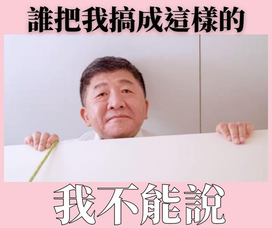國民黨立委鄭麗文在臉書批評陳時中競辦是民進黨的大型托嬰中心。 圖:翻攝自鄭麗文臉書