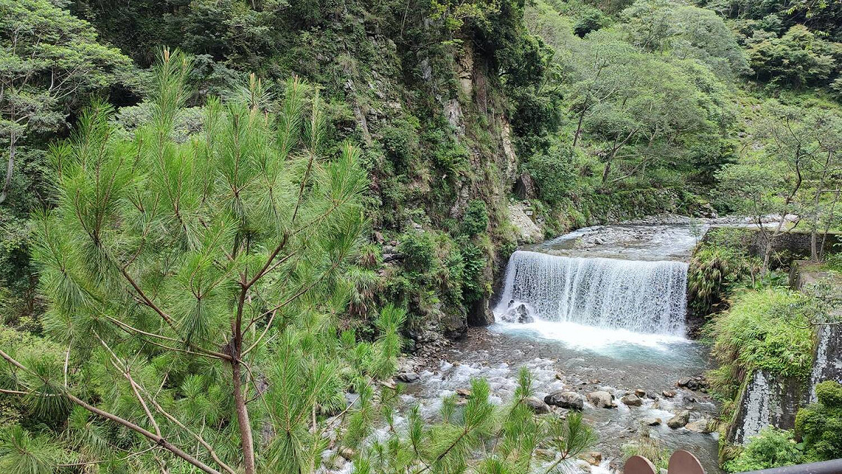 遊客可到八仙山森林遊樂區享受療癒森林浴。 圖：東勢林管處／提供